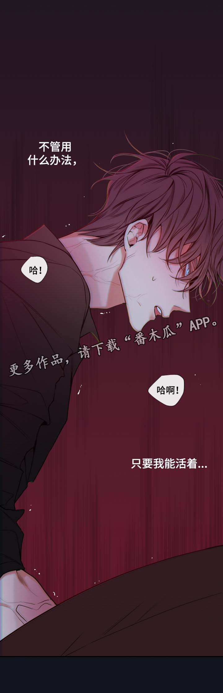 第55章：赌一把
