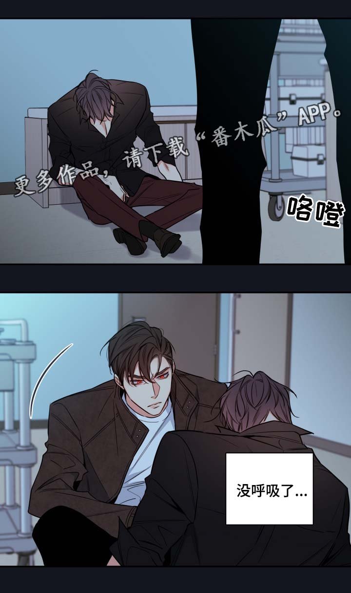 第55章：赌一把