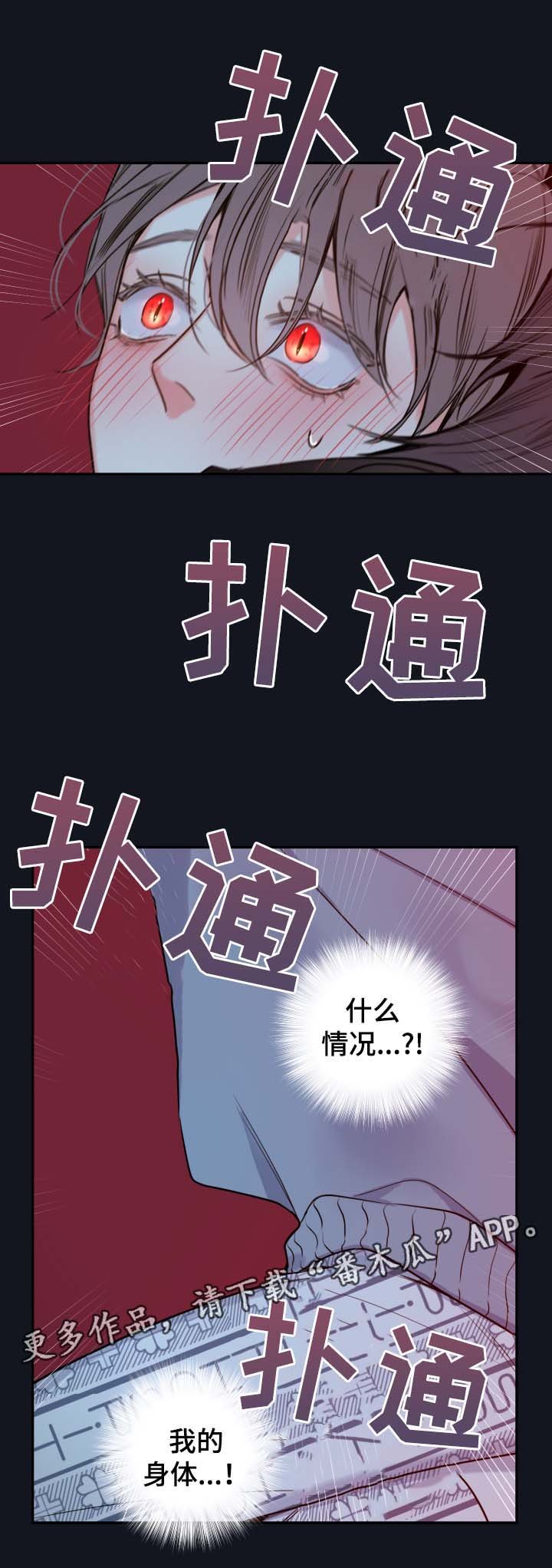 第56章：异常情况