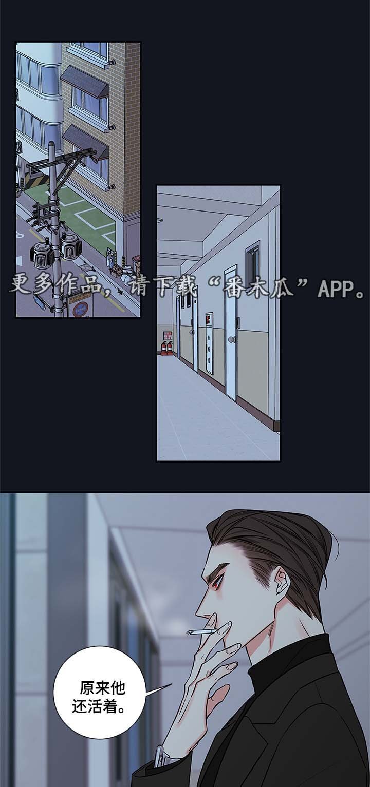 第71章：像普通人一样活着