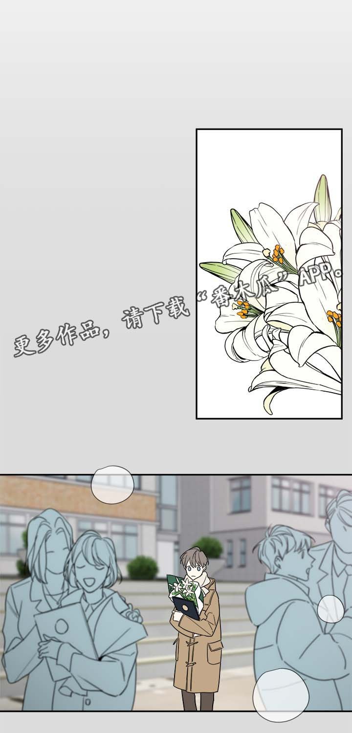 第73章：尘埃落定