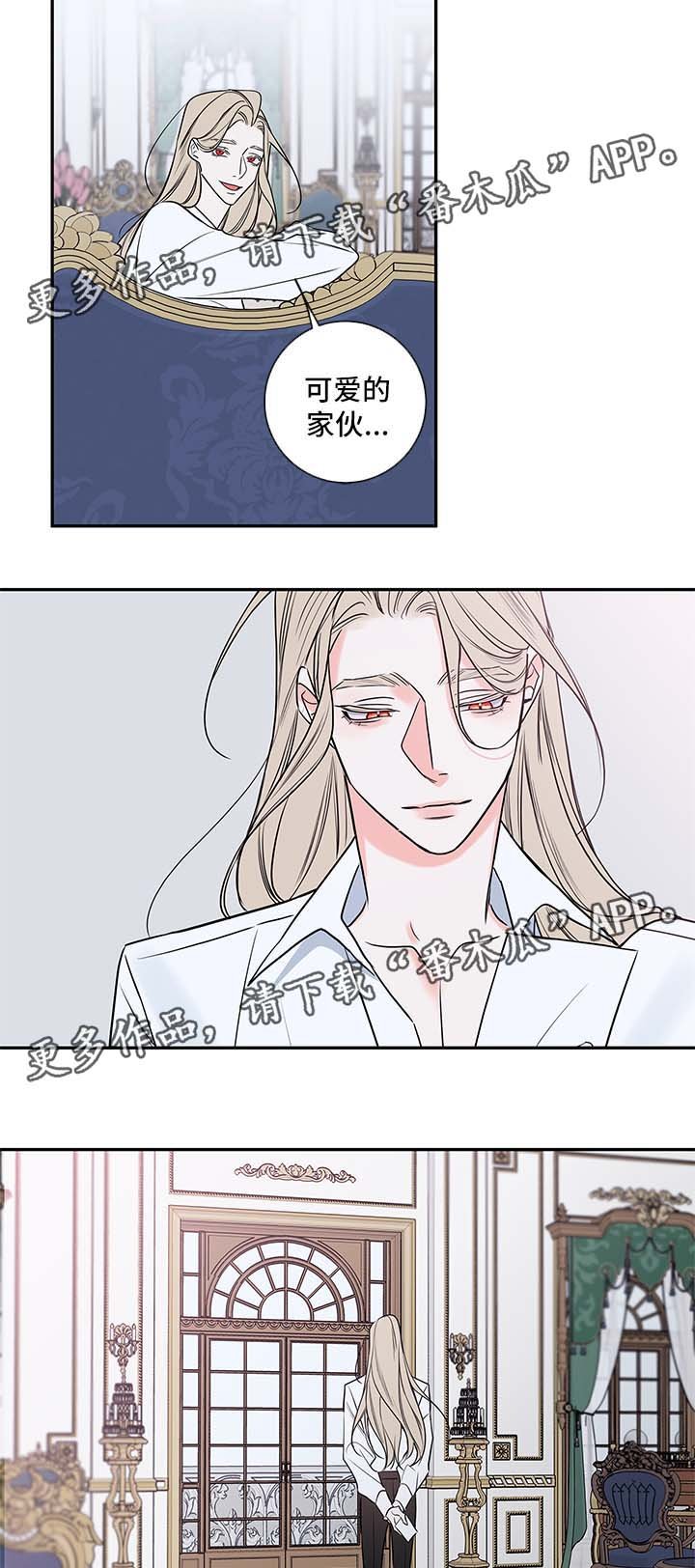 第78章：回归（完结）