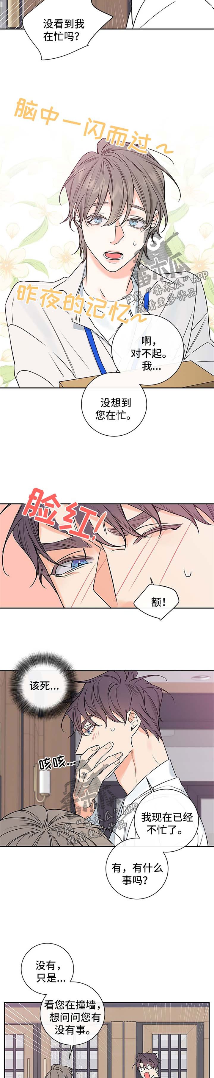 第84章：【番外篇】撞墙