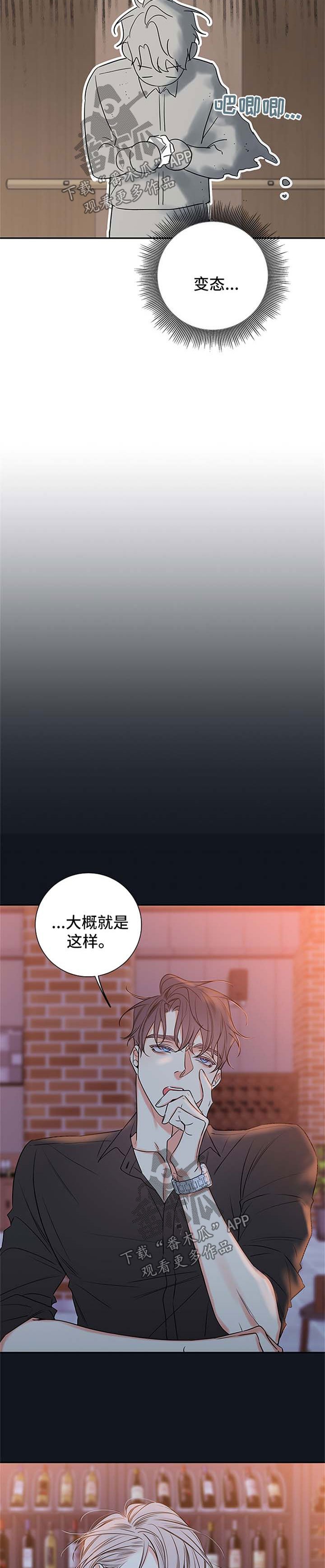 第85章：【番外篇】坠入爱河