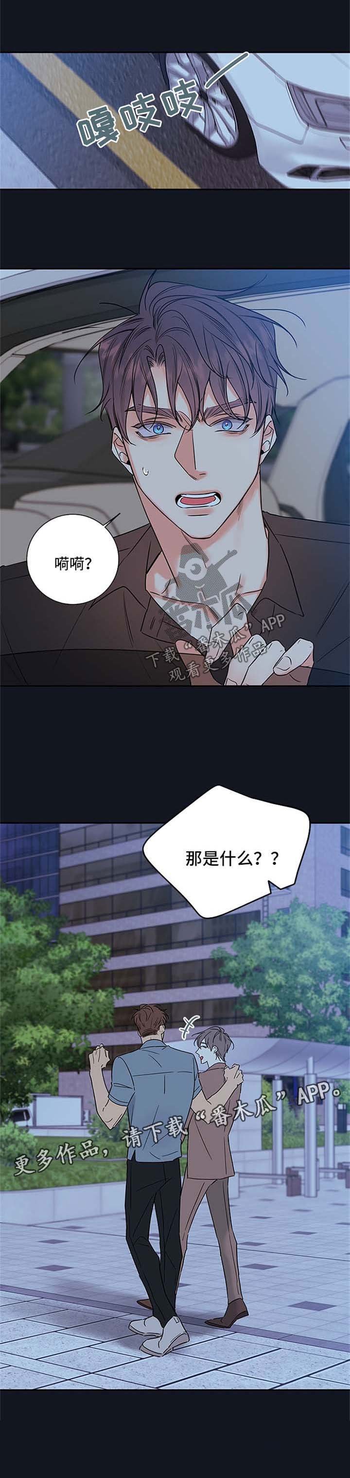 第85章：【番外篇】坠入爱河