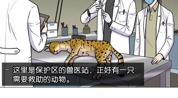 第1章：好好表现