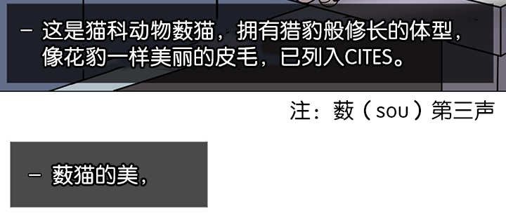 第1章：好好表现
