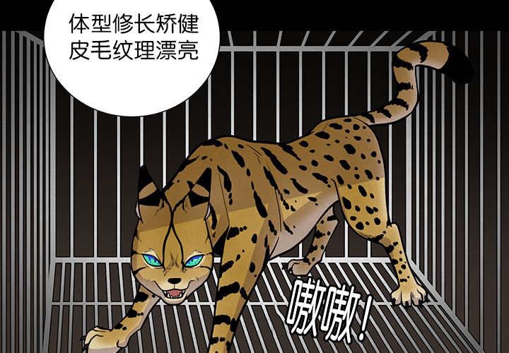 第1章：好好表现