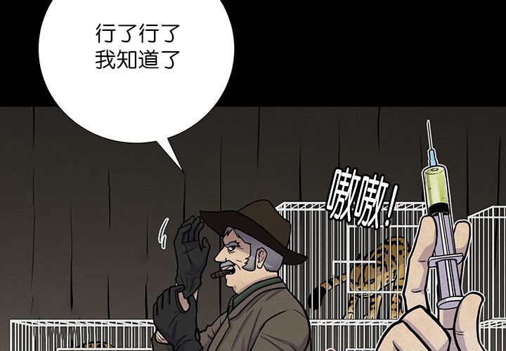 第1章：好好表现