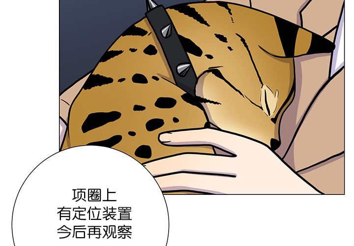 第1章：好好表现
