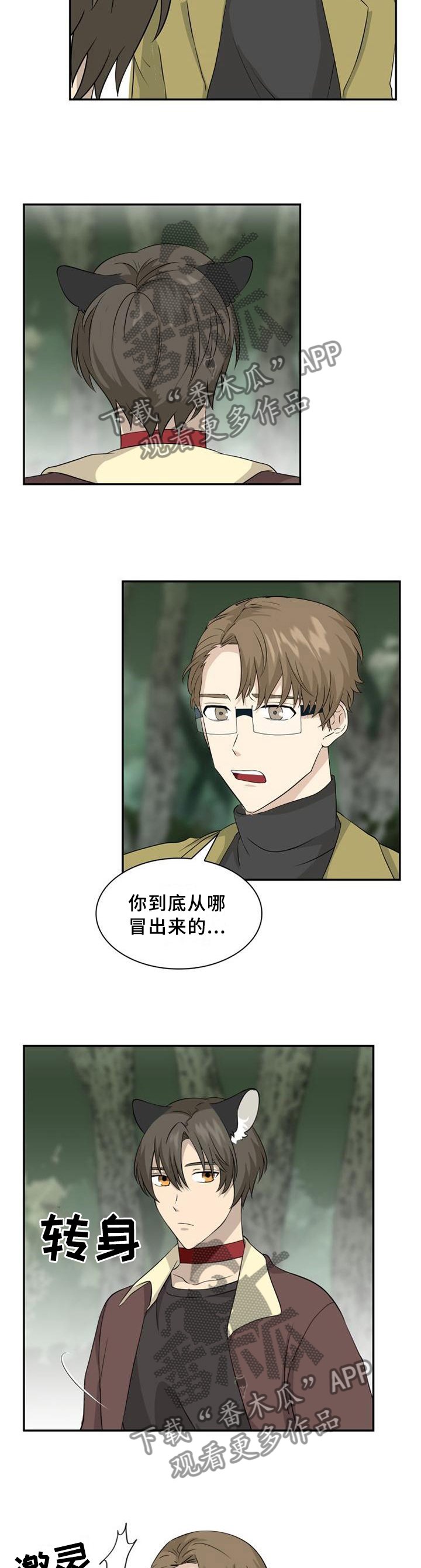 第103章：【第二季】红项圈