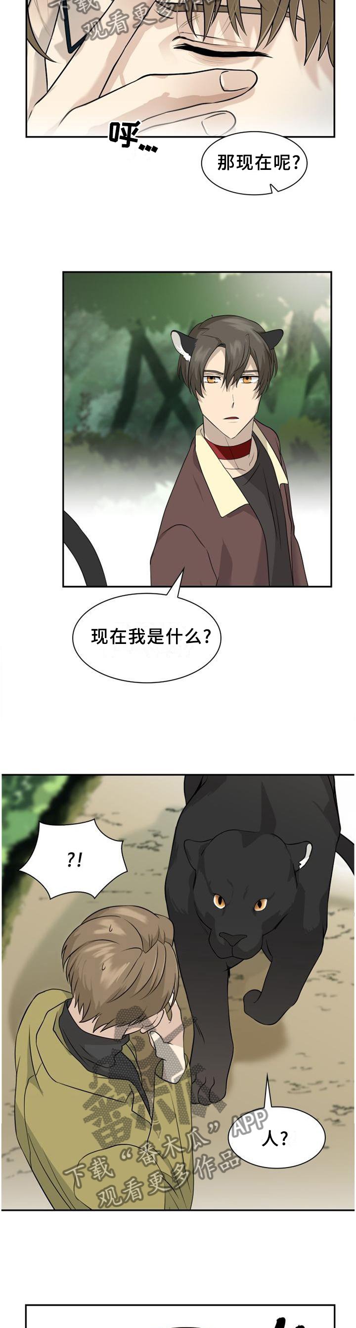 第107章：【第二季】处理伤口