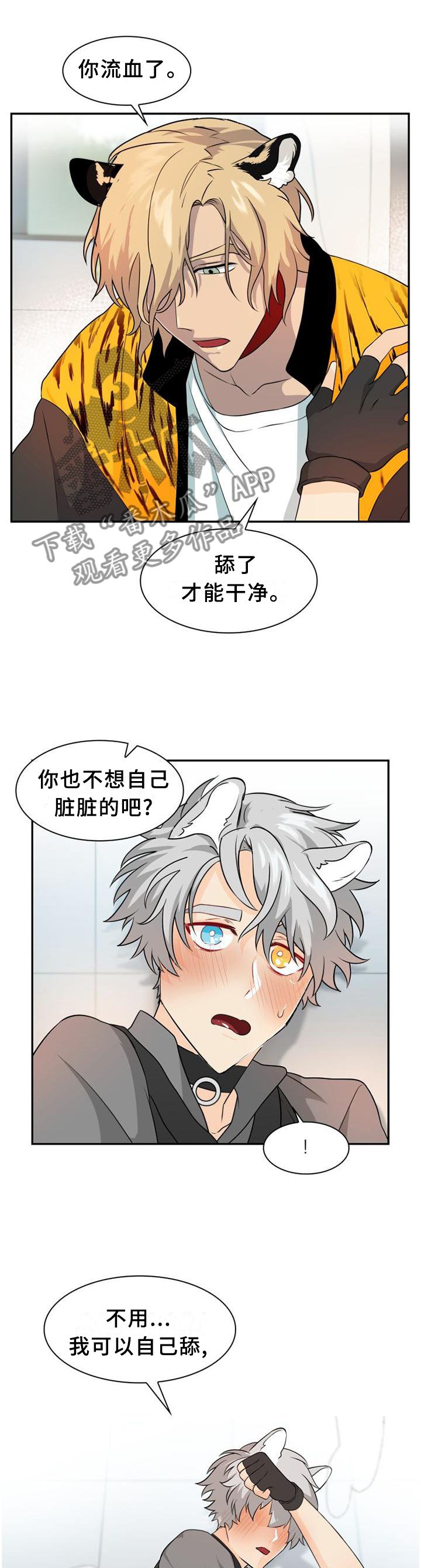 第107章：【第二季】处理伤口