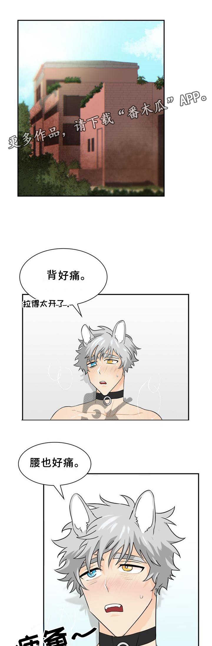 第108章：【第二季】痊愈