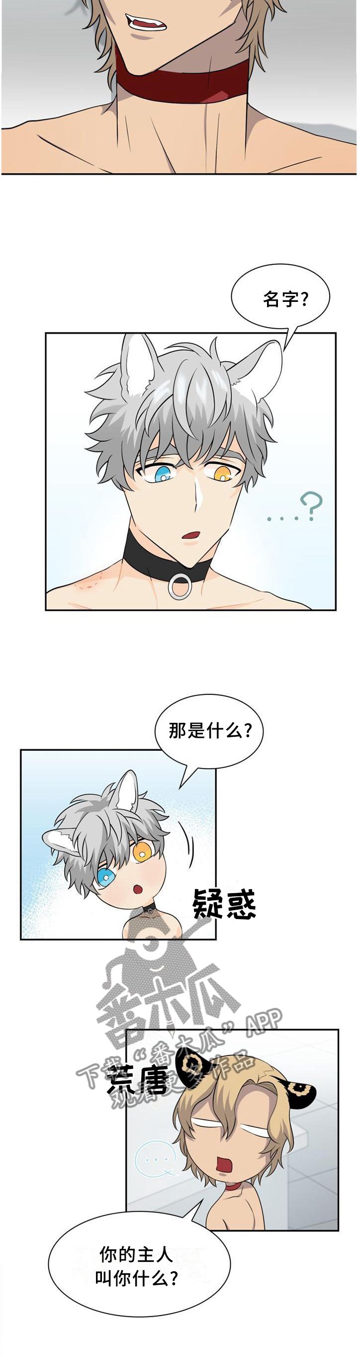 第108章：【第二季】痊愈