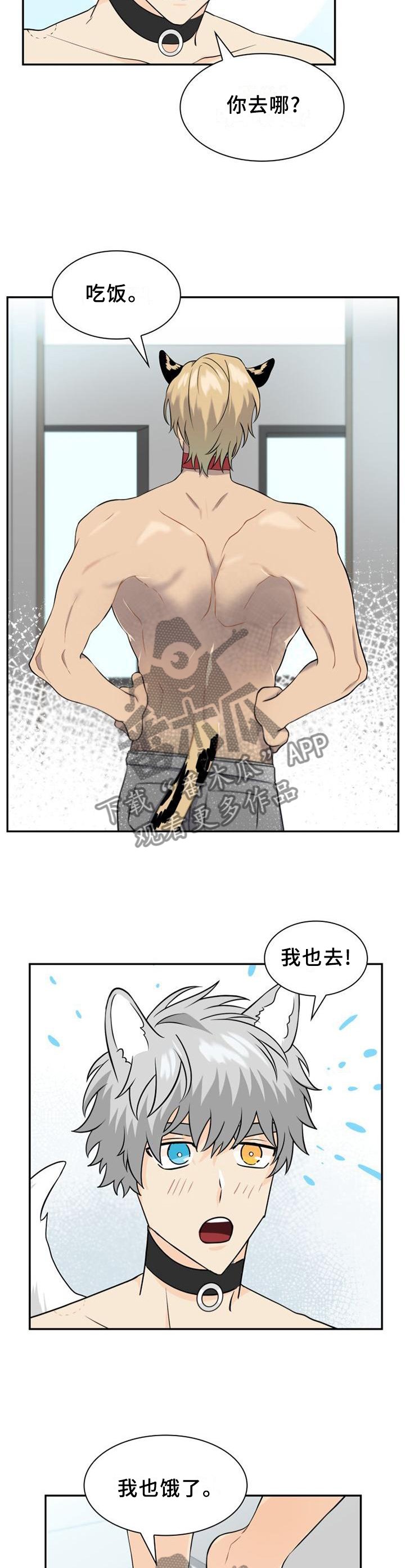 第109章：【第二季】心灵相通