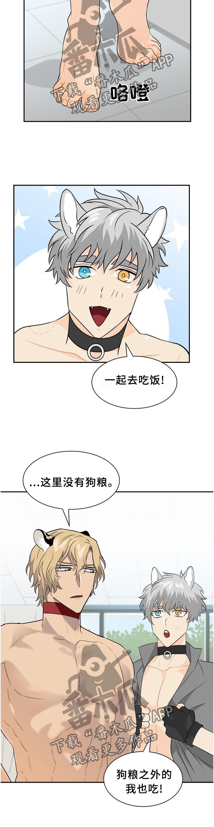 第109章：【第二季】心灵相通
