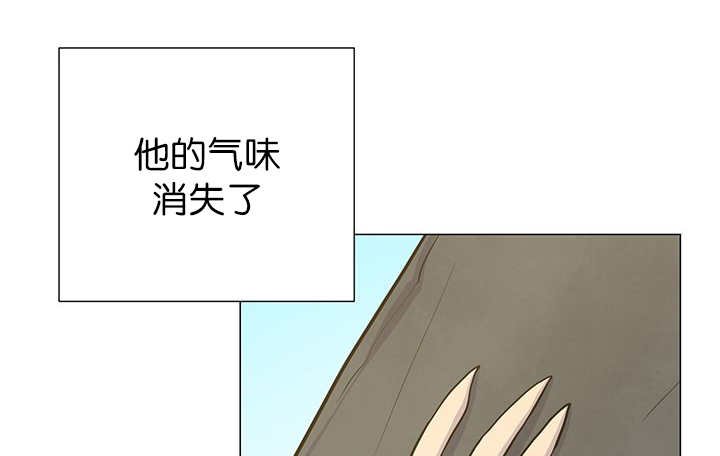 第11章：牺牲自由