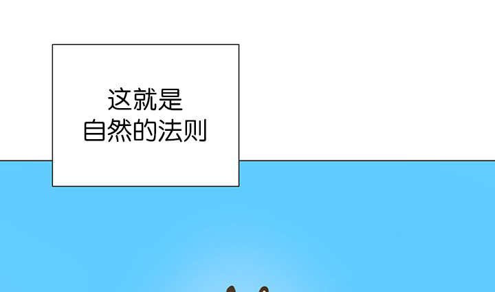 第11章：牺牲自由