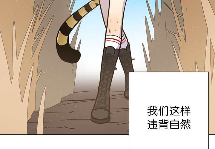 第11章：牺牲自由