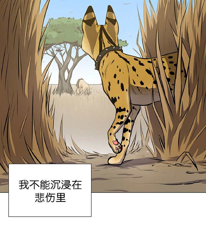 第11章：牺牲自由