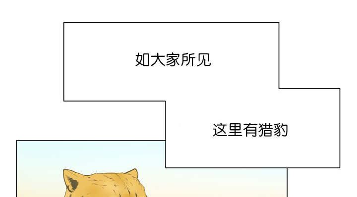 第11章：牺牲自由