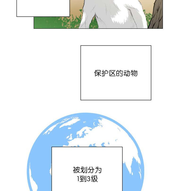 第11章：牺牲自由