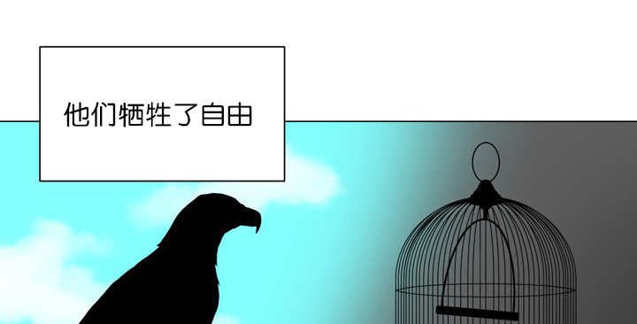 第11章：牺牲自由