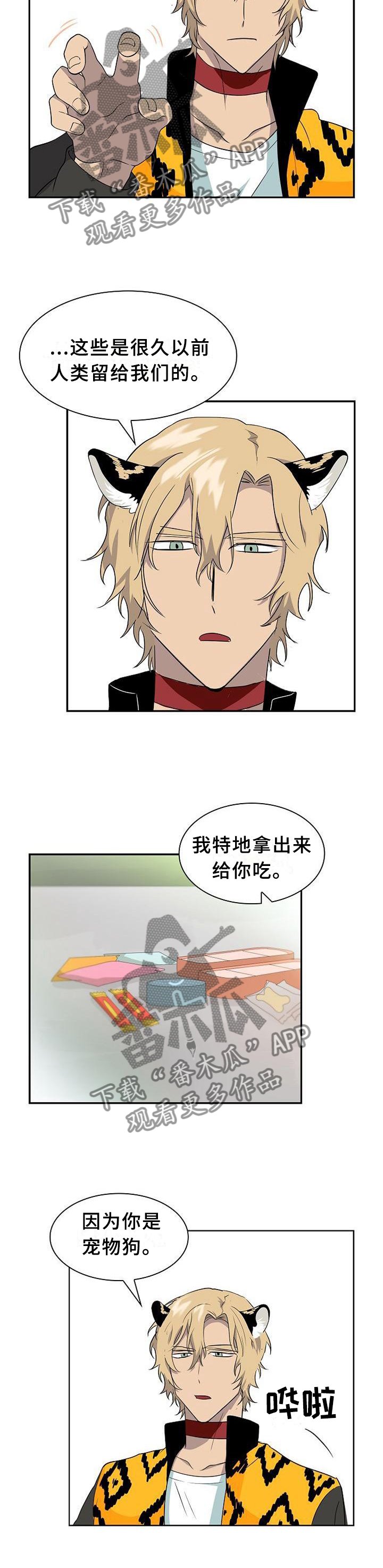 第110章：【第二季】食物