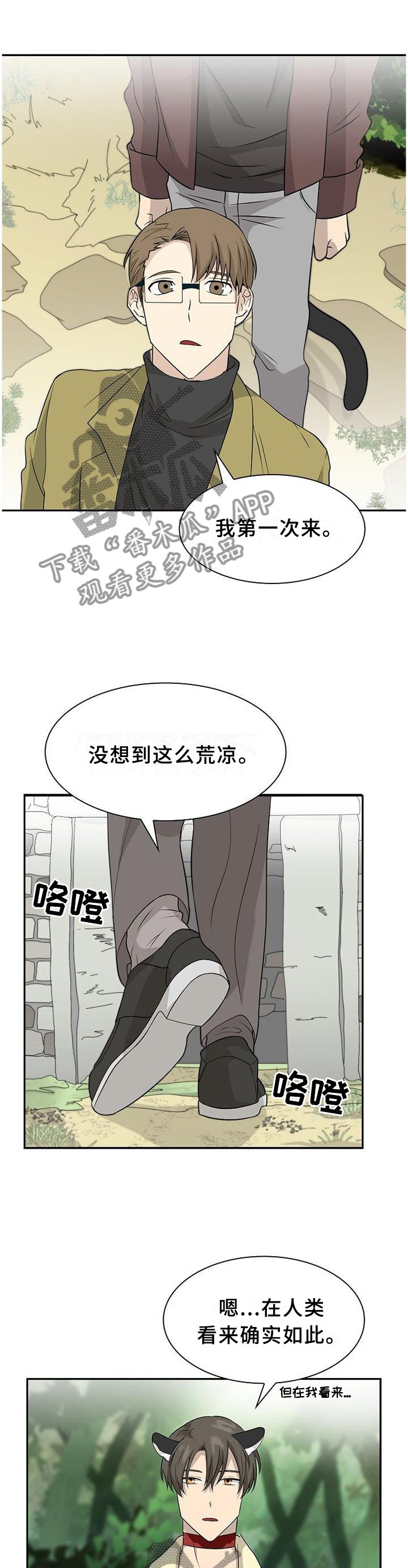 第111章：【第二季】我的食物