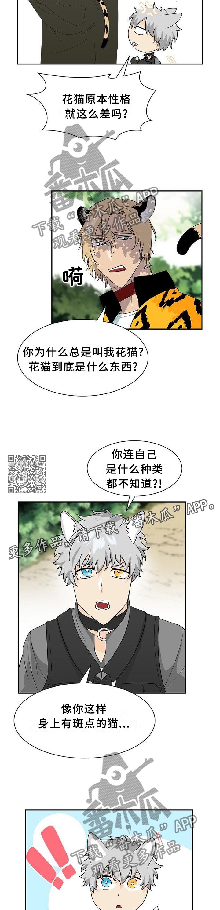 第111章：【第二季】我的食物