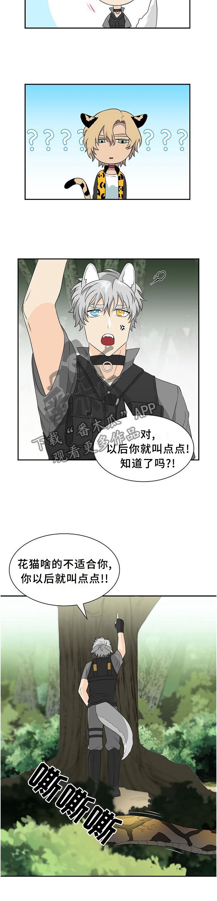 第111章：【第二季】我的食物