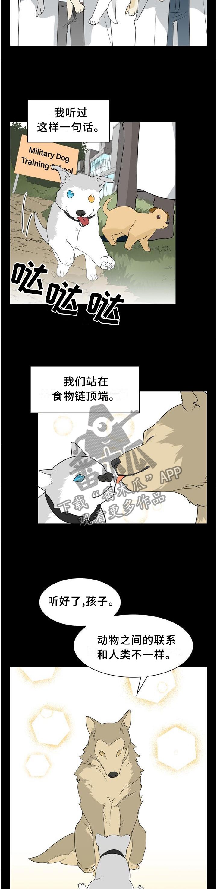 第112章：【第二季】人类与动物的区别