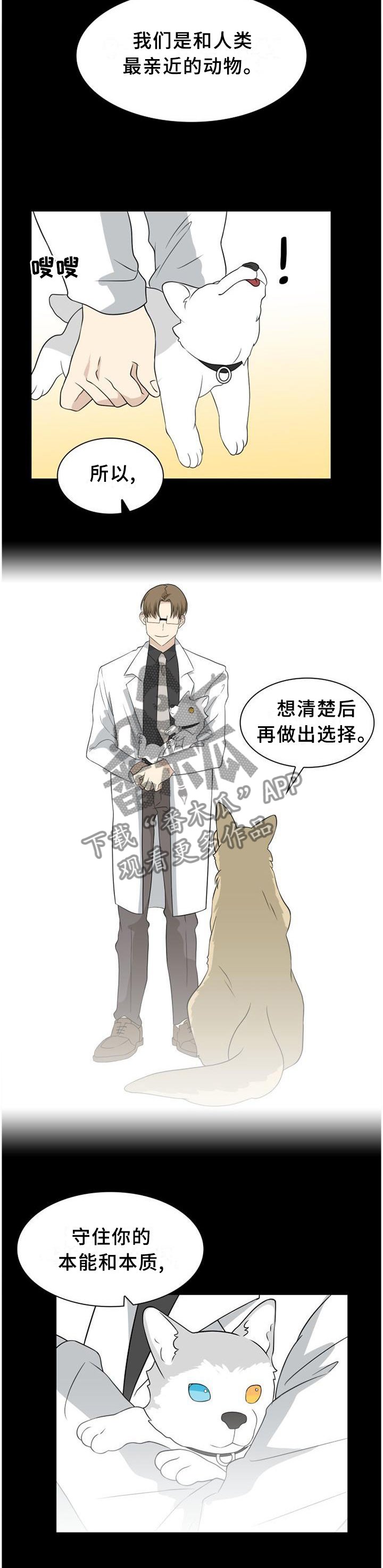 第112章：【第二季】人类与动物的区别