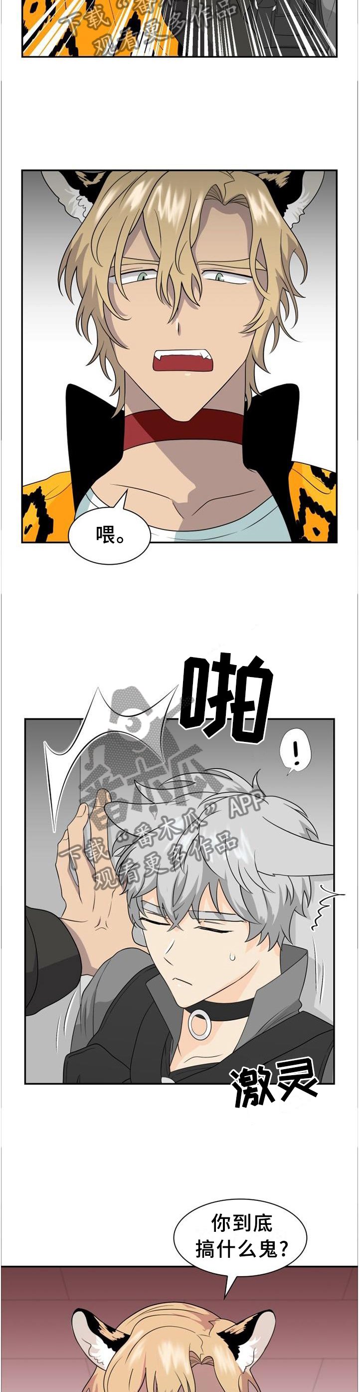 第116章：【第二季】你在炫耀吗