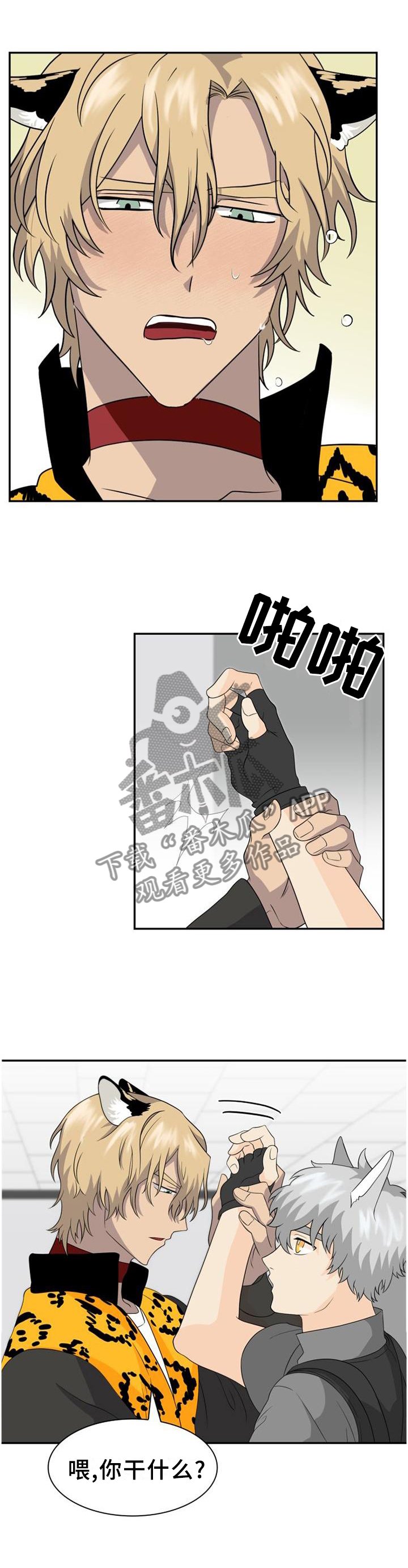 第117章：【第二季】天然呆