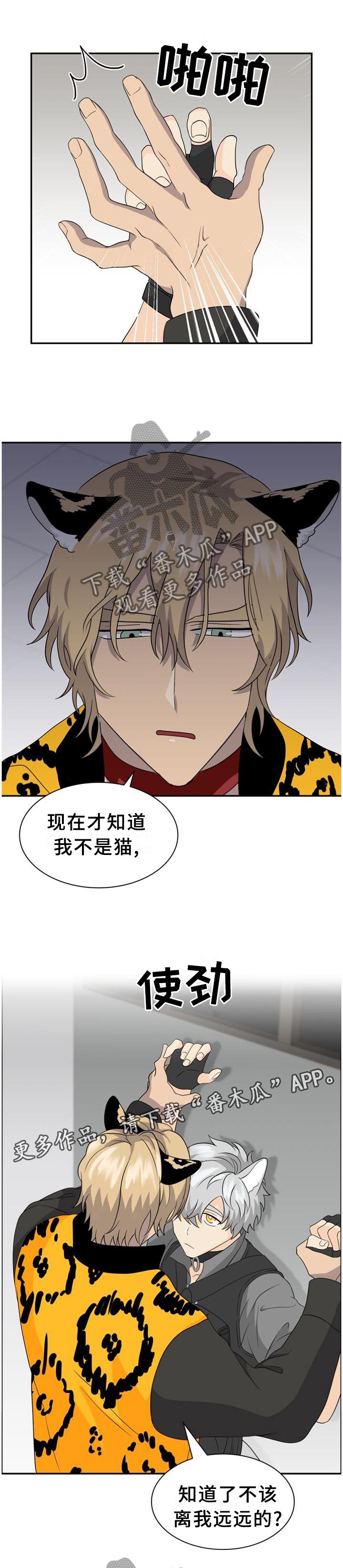 第117章：【第二季】天然呆