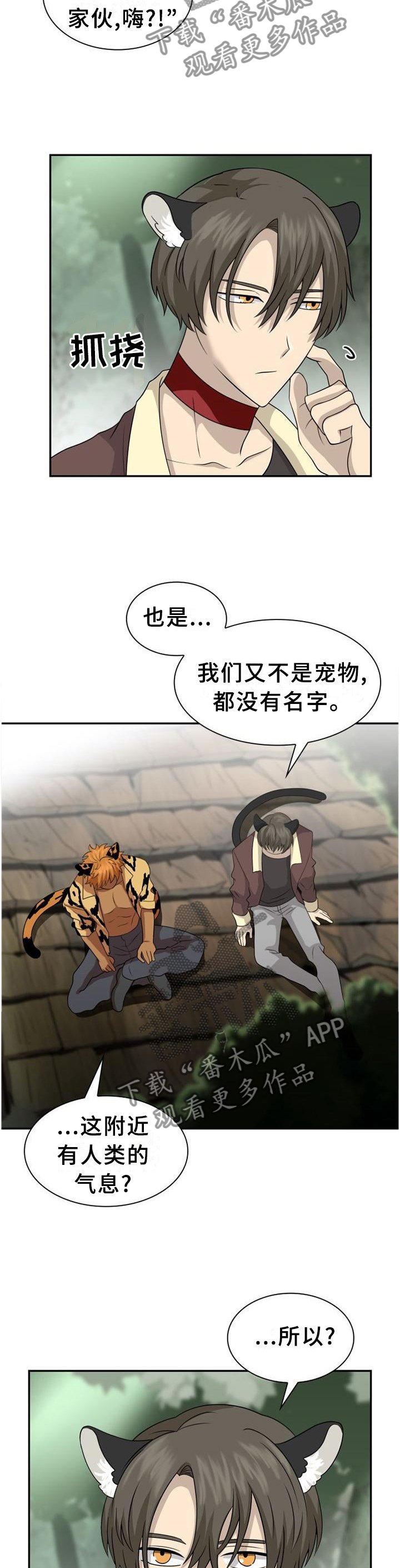 第119章：【第二季】猎物