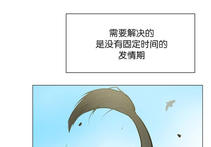 第12章：三天一次