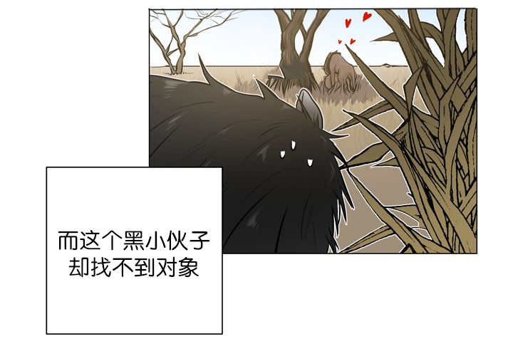 第12章：三天一次