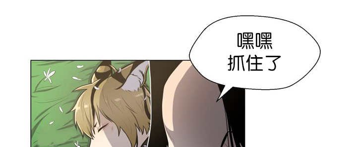 第12章：三天一次