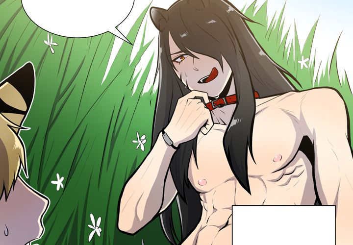 第12章：三天一次