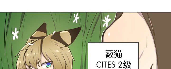 第12章：三天一次