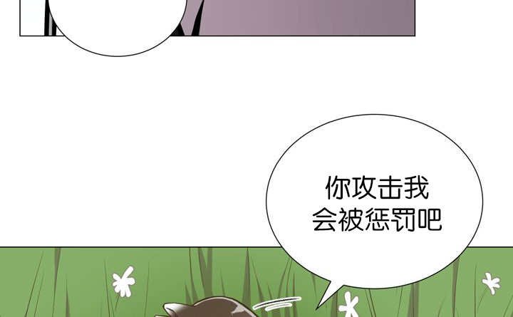 第12章：三天一次