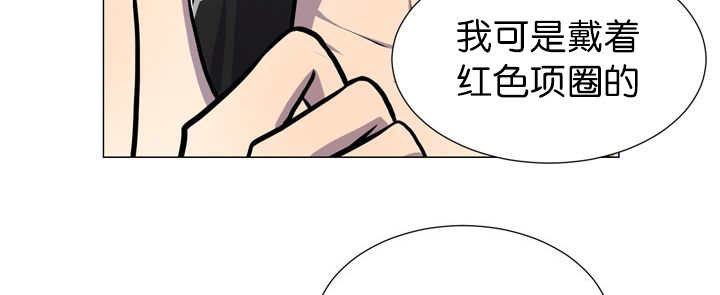 第12章：三天一次