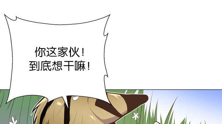 第12章：三天一次