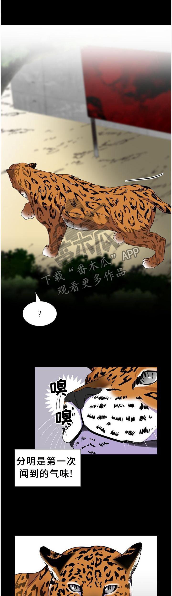 第121章：【第二季】挺有感觉