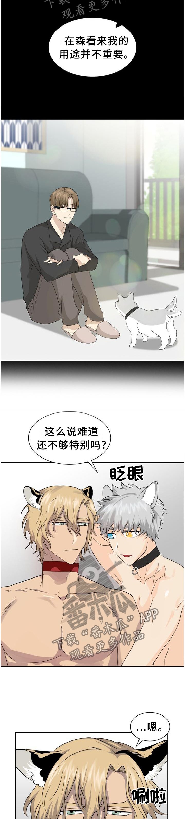 第123章：【第二季】特别的人