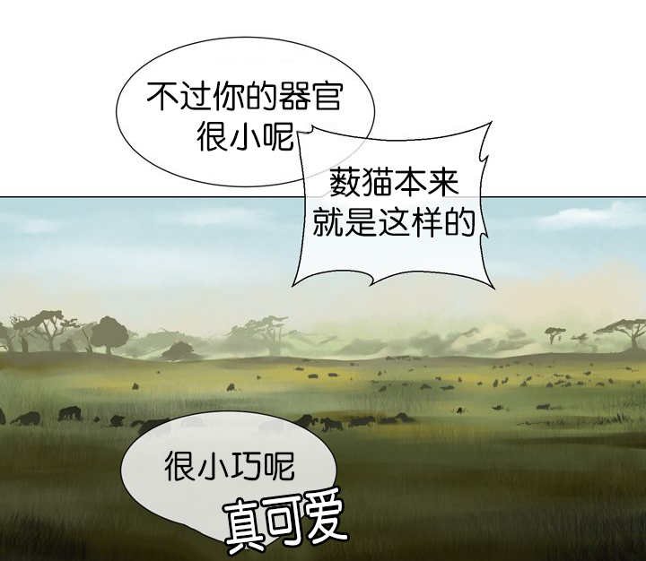 第13章：我们一起