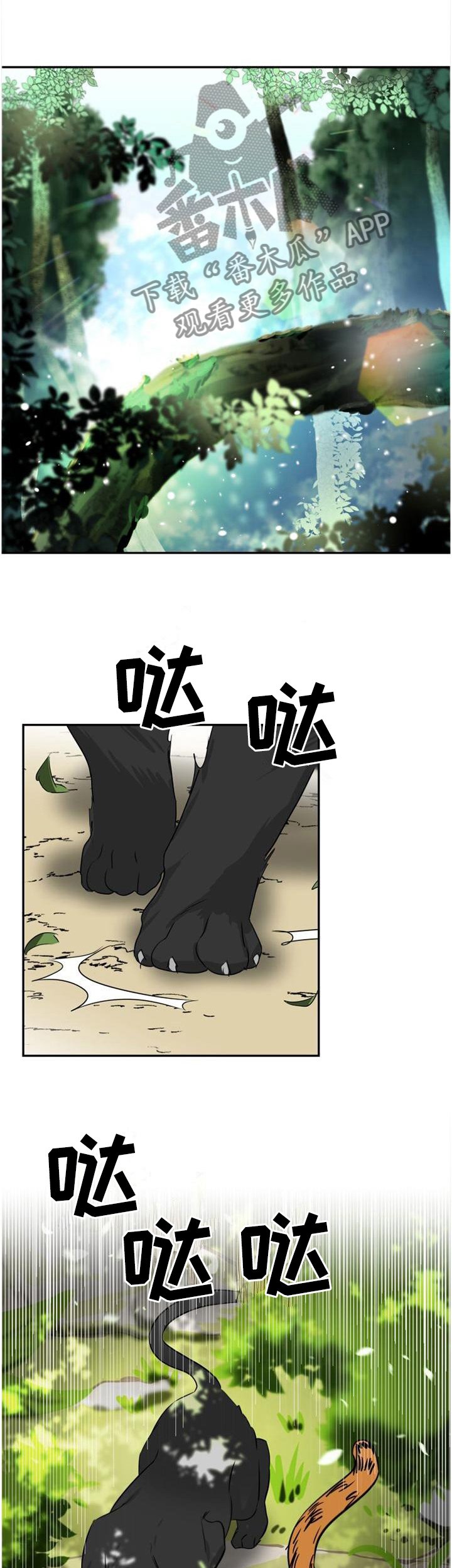 第132章：【第二季】自由的魅力